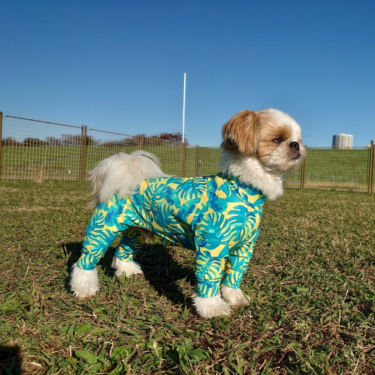 ADESOL - マルチプロテクトスーツ - ハッピージャングル – ADESOL