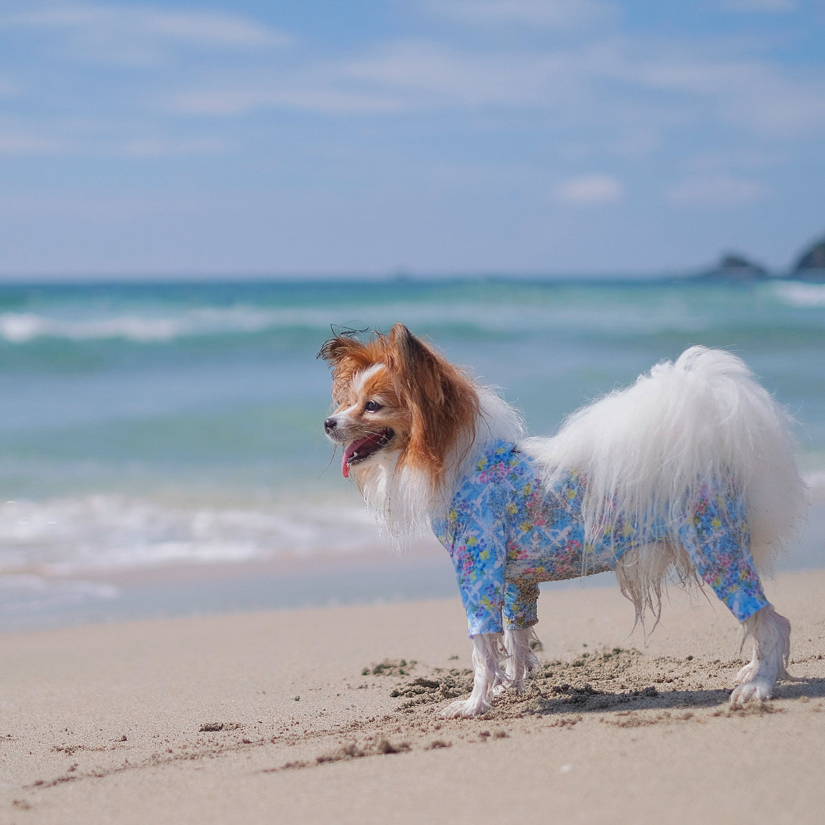 ADESOL - マルチプロテクトスーツ - アクアブーケ – ADESOL Online Shop