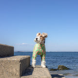 グッドウェーブ - Good Wave - マルチプロテクトスーツ