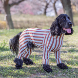 ココアストライプ - Cocoa Stripe - マルチプロテクトスーツ