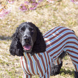 ココアストライプ - Cocoa Stripe - マルチプロテクトスーツ