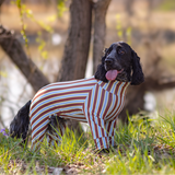 ココアストライプ - Cocoa Stripe - マルチプロテクトスーツ