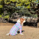 ピンクプレイド - Pink Plaid - マルチプロテクトスーツ