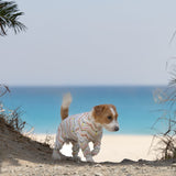 ネイティブスピリット - Native Spirit - マルチプロテクトスーツ