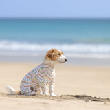 ネイティブスピリット - Native Spirit - マルチプロテクトスーツ