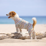 ネイティブスピリット - Native Spirit - マルチプロテクトスーツ