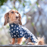 ネイビードット - Navy Dot - マルチプロテクトスーツ