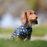 ネイビードット - Navy Dot - マルチプロテクトスーツ