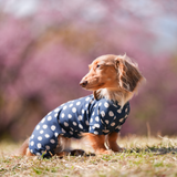 ネイビードット - Navy Dot - マルチプロテクトスーツ