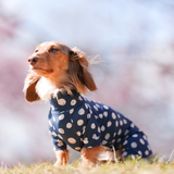 ネイビードット - Navy Dot - マルチプロテクトスーツ