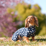 ネイビードット - Navy Dot - マルチプロテクトスーツ