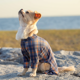 オレンジタータン - Orange Tartan - マルチプロテクトスーツ