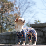 オレンジタータン - Orange Tartan - マルチプロテクトスーツ