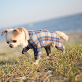 オレンジタータン - Orange Tartan - マルチプロテクトスーツ