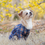 オレンジタータン - Orange Tartan - マルチプロテクトスーツ