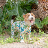 パームアイランド - Palm Island - マルチプロテクトスーツ