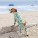 パームアイランド - Palm Island - マルチプロテクトスーツ