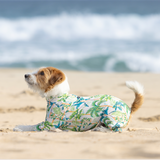 パームアイランド - Palm Island - マルチプロテクトスーツ