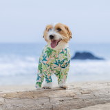 パームアイランド - Palm Island - マルチプロテクトスーツ