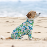 パームアイランド - Palm Island - マルチプロテクトスーツ