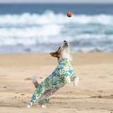 パームアイランド - Palm Island - マルチプロテクトスーツ