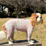 スプリングスプラッシュ - Spring Splash - マルチプロテクトスーツ