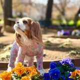 スプリングスプラッシュ - Spring Splash - マルチプロテクトスーツ