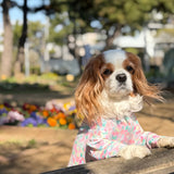 スプリングスプラッシュ - Spring Splash - マルチプロテクトスーツ