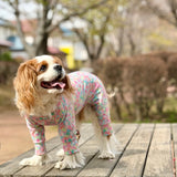 スプリングスプラッシュ - Spring Splash - マルチプロテクトスーツ