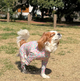 スプリングスプラッシュ - Spring Splash - マルチプロテクトスーツ